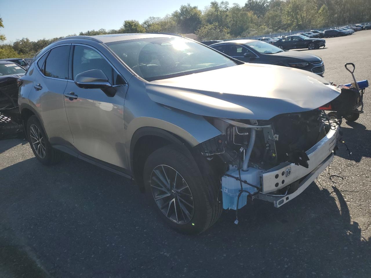 LEXUS NX 350 PREMIUM