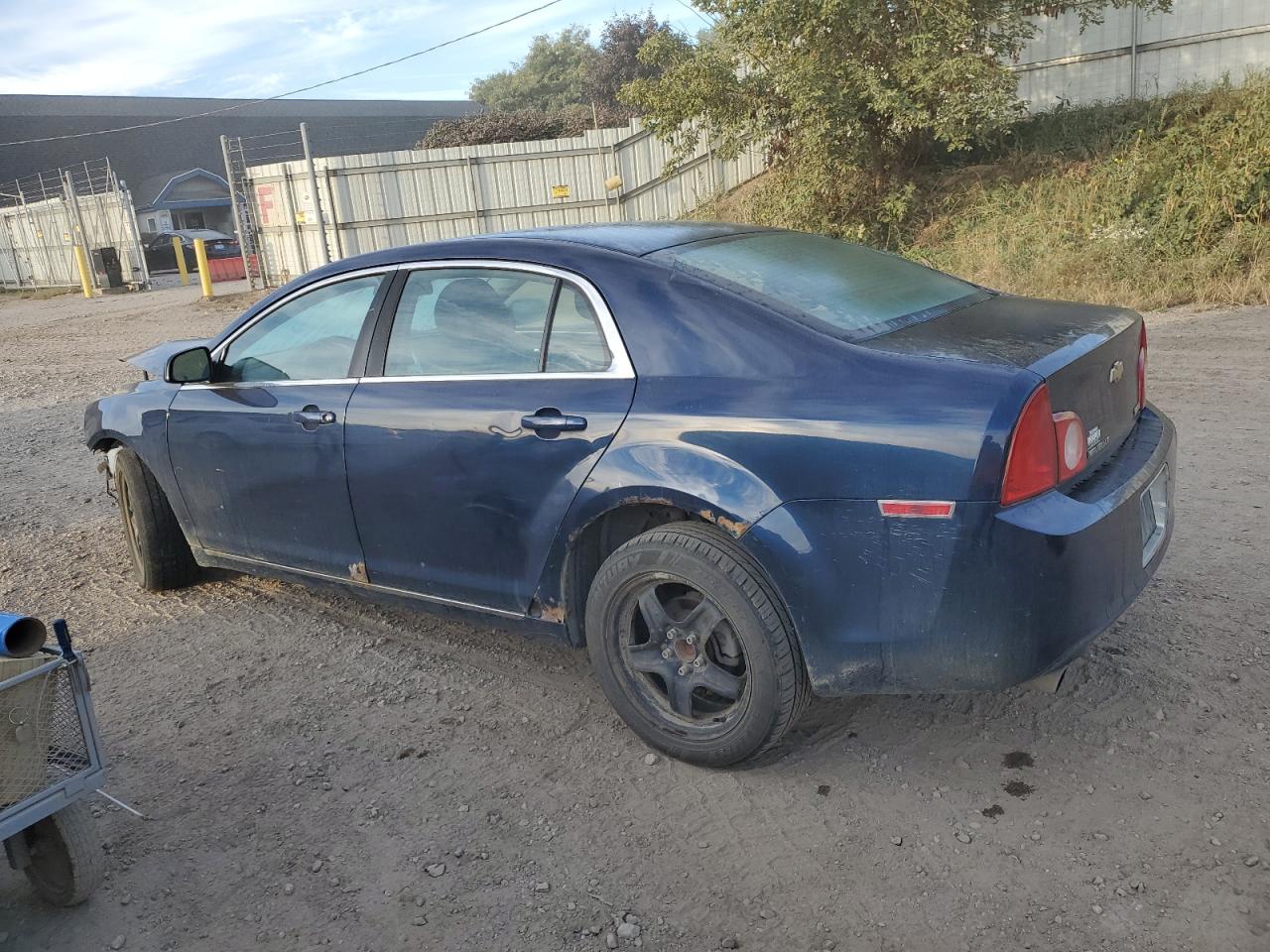 CHEVROLET MALIBU 1LT