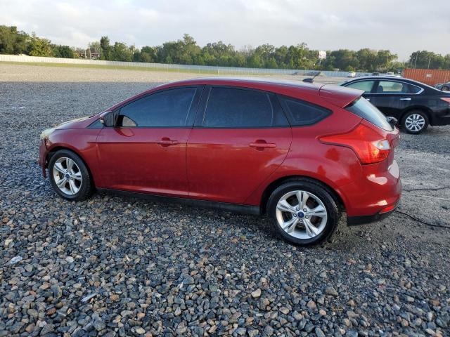 2014 FORD FOCUS SE - 1FADP3K28EL333846