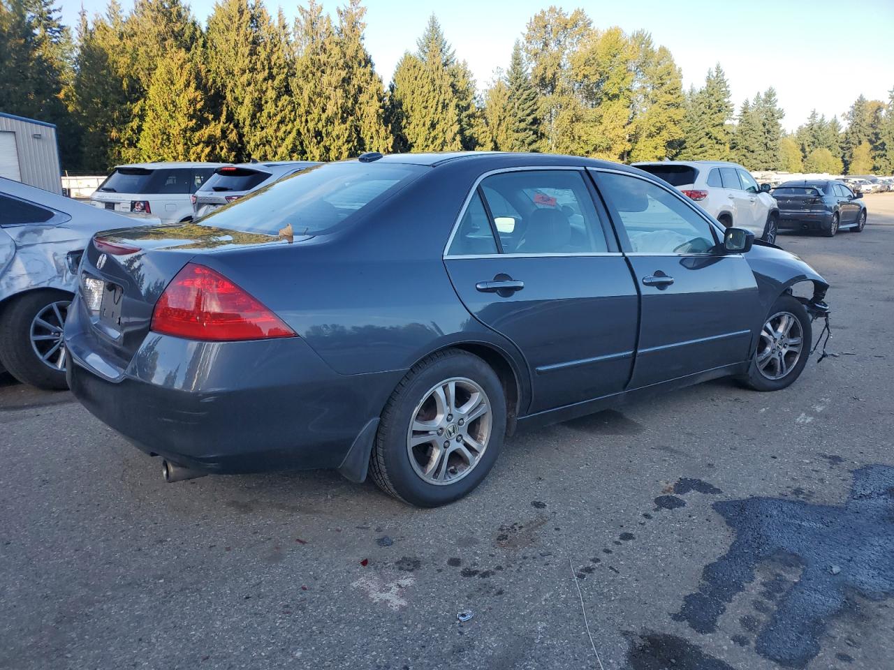 Lot #3276535056 2006 HONDA ACCORD EX