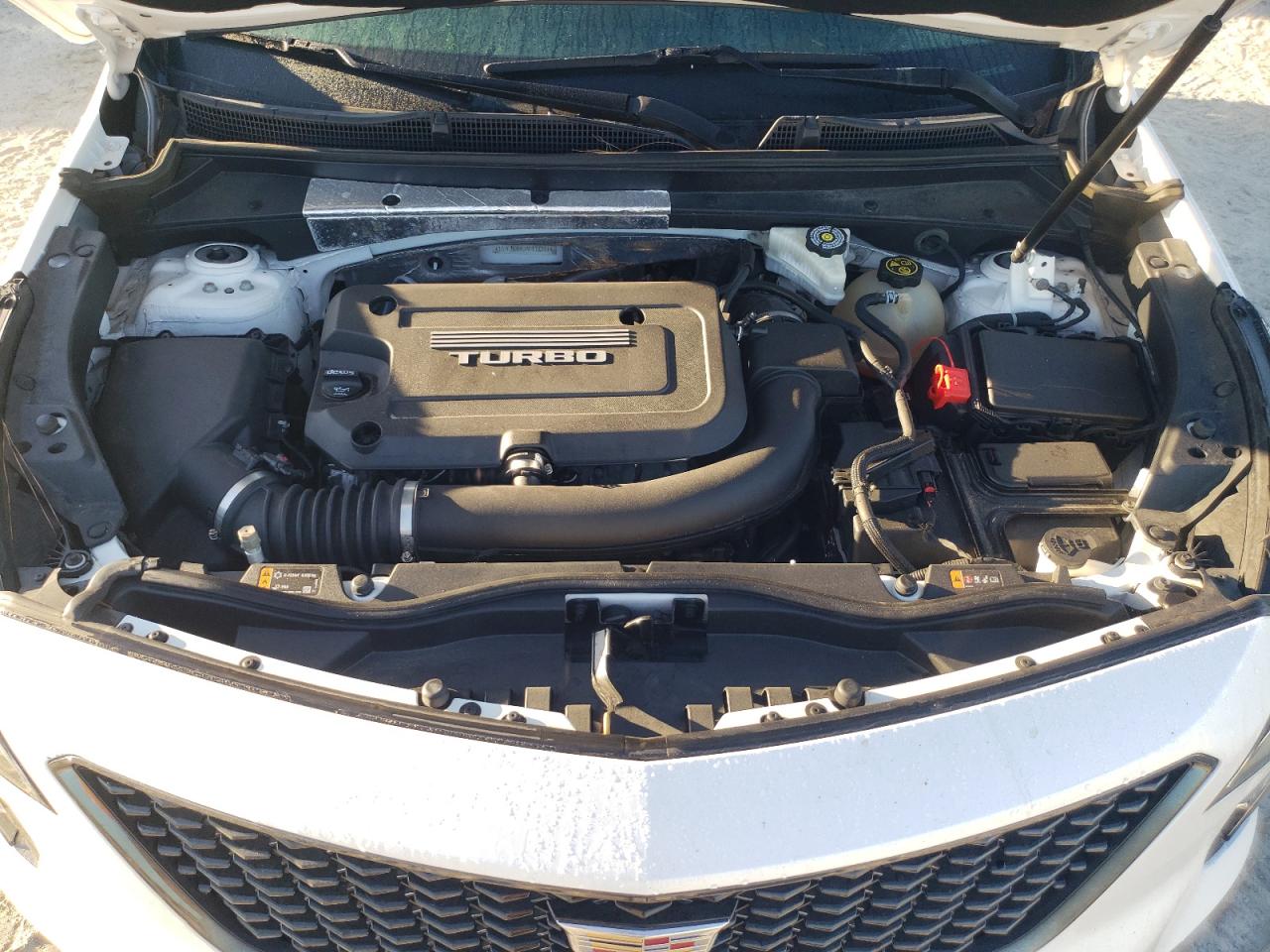 Lot #3309286624 2019 CADILLAC XT4 PREMIU