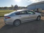Lot #3301662621 2013 FORD FUSION SE