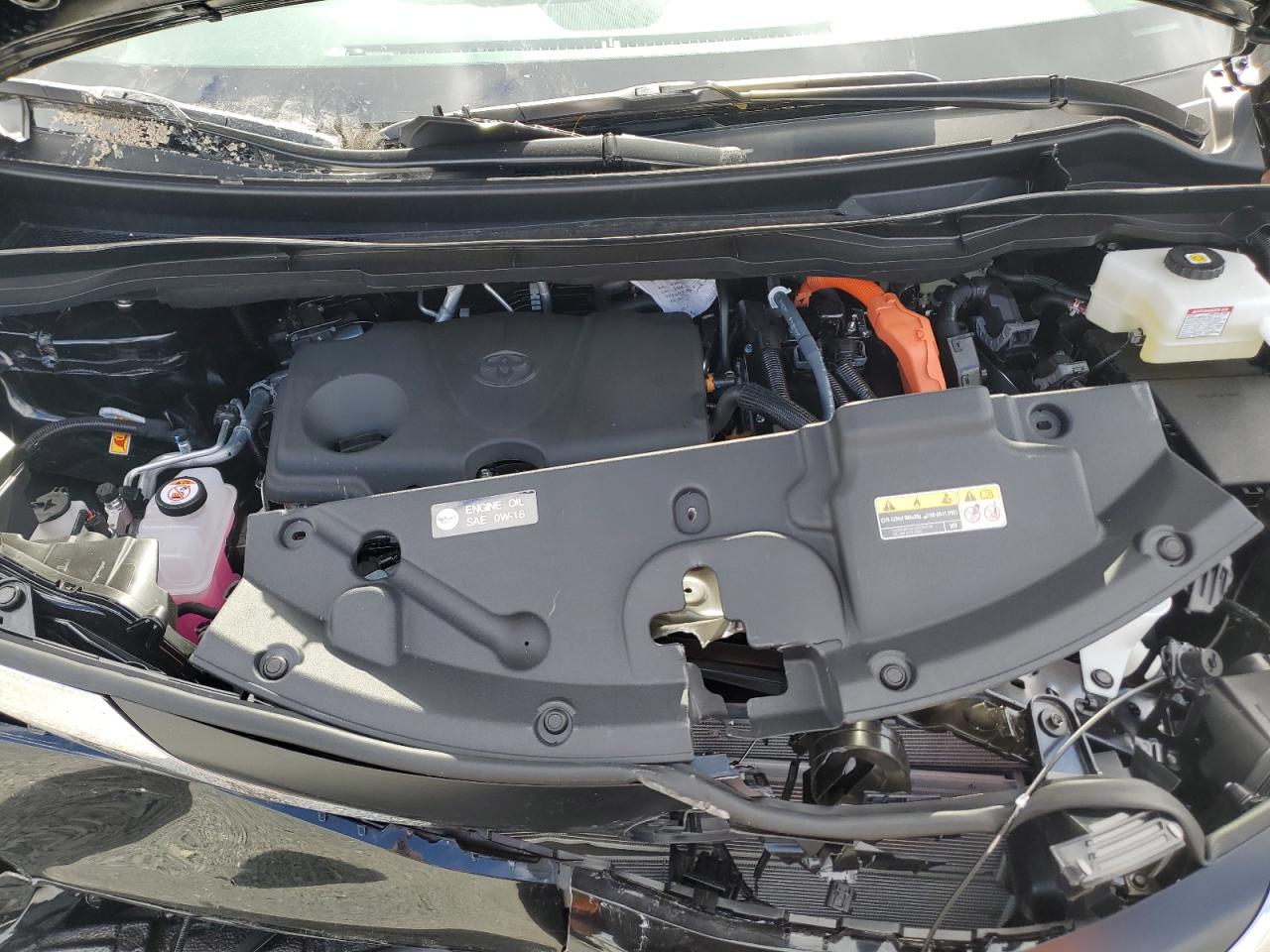 Lot #3318925912 2025 TOYOTA SIENNA XLE