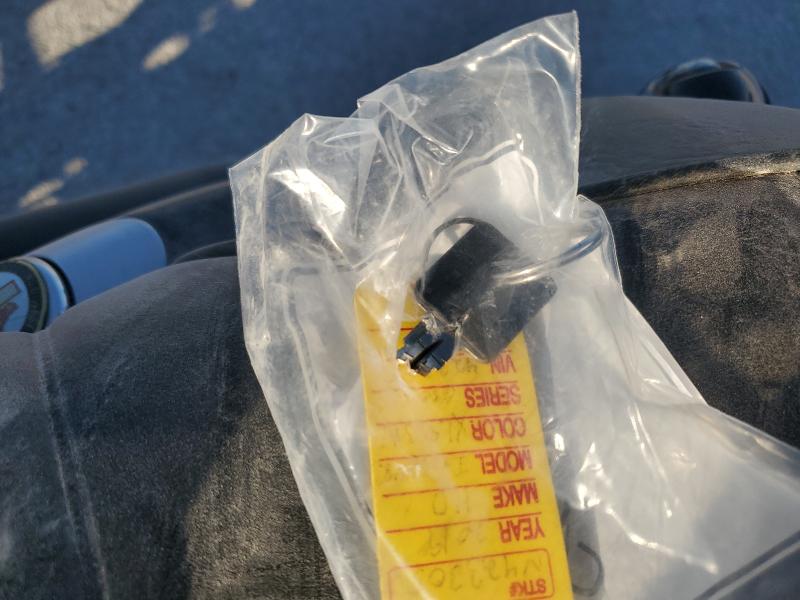 2019 HARLEY-DAVIDSON XL883 N #3279798296