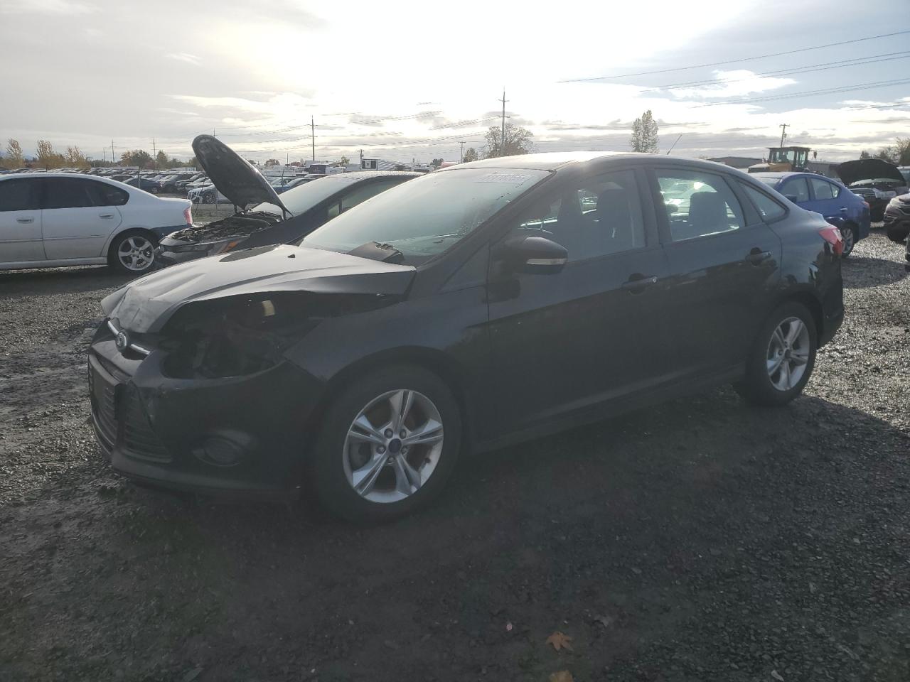 FORD FOCUS SE