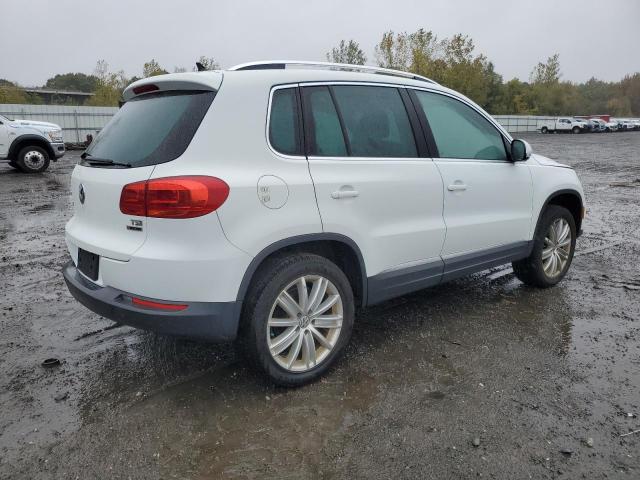 2016 VOLKSWAGEN TIGUAN S WVGBV7AX4GW587627
