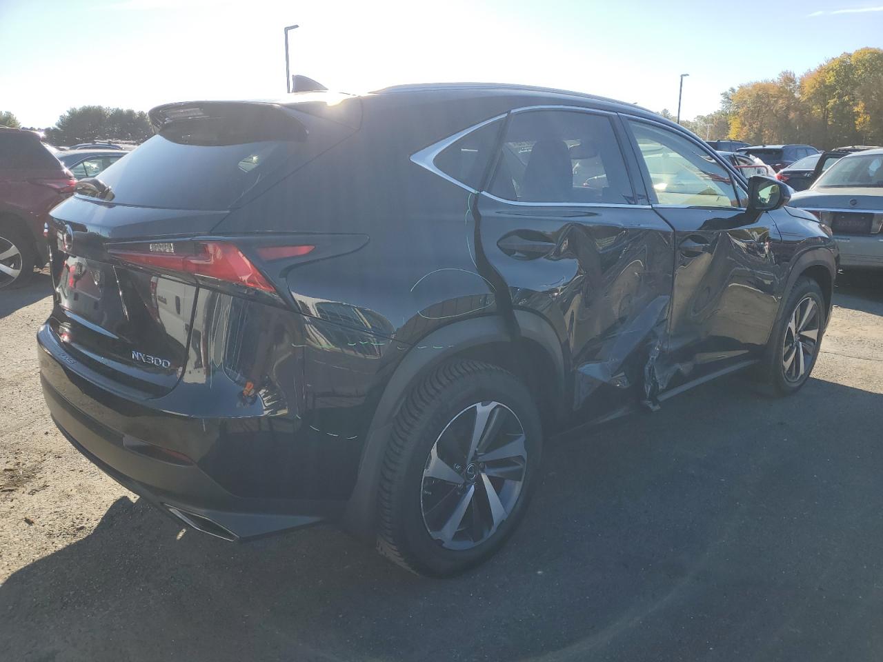 LEXUS NX 300