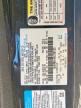 Lot #3303080793 2012 FORD MUSTANG SH