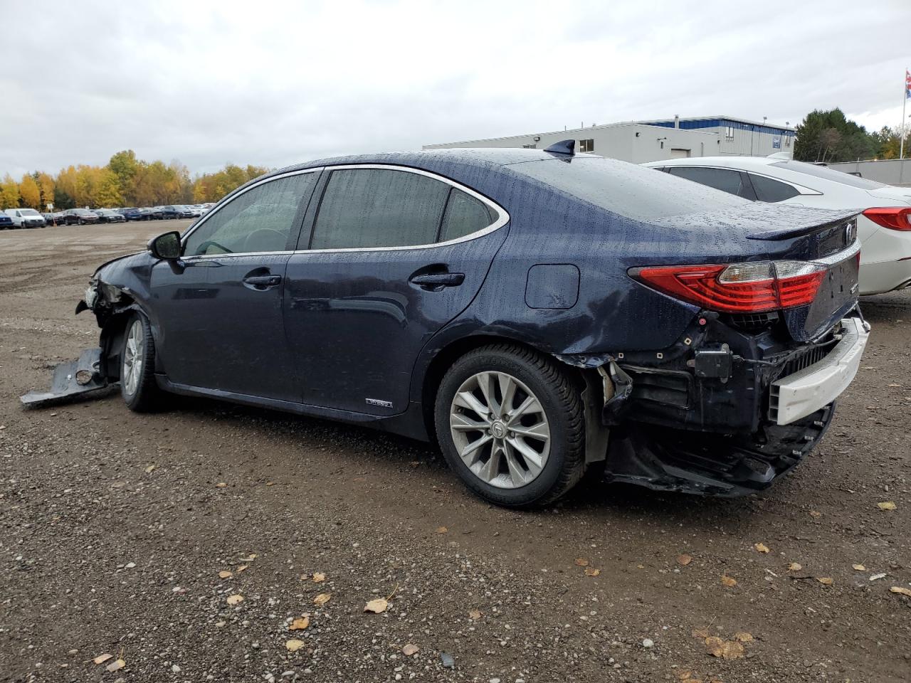 LEXUS ES 300H