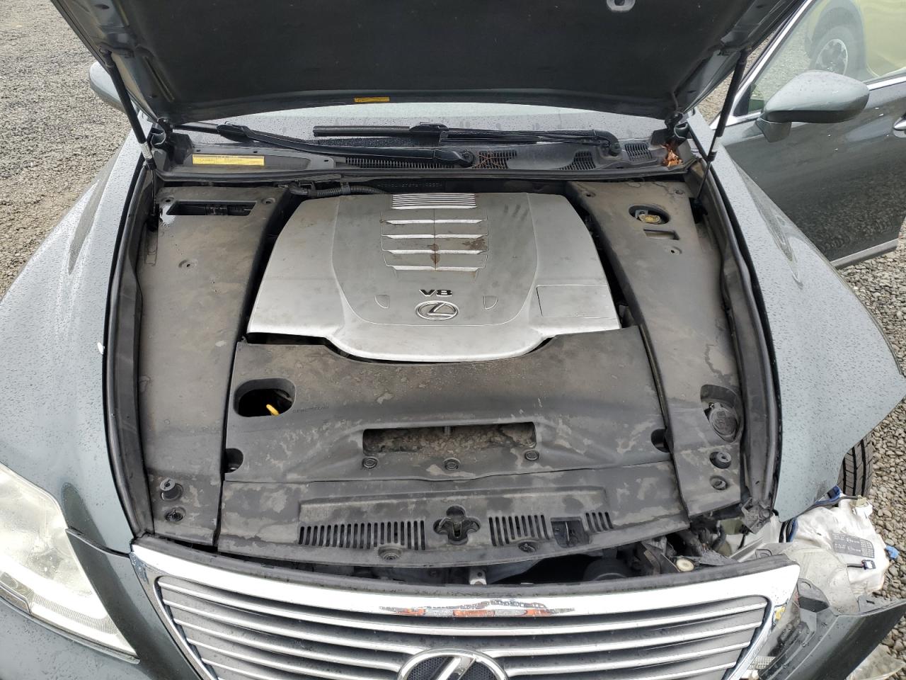 Lot #3285926570 2007 LEXUS LS 460