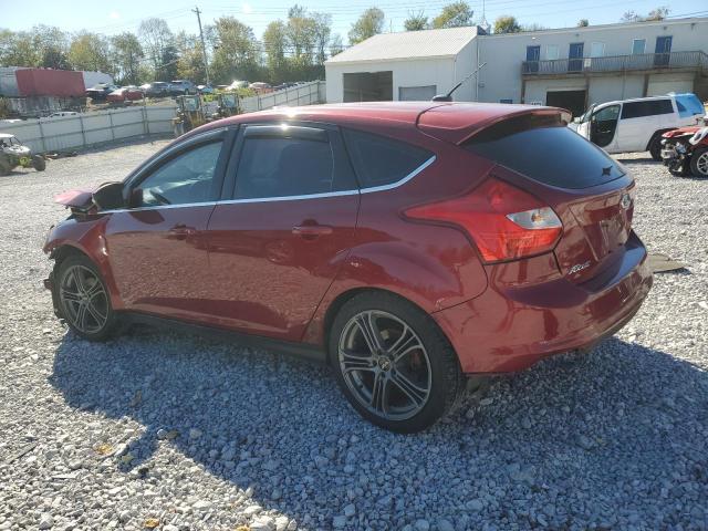2013 FORD FOCUS TITA - 1FADP3N20DL137328