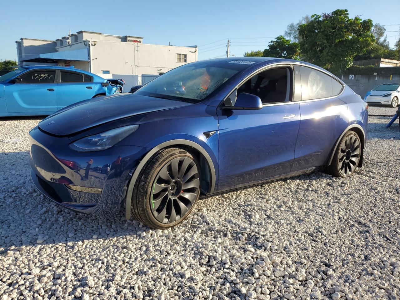 TESLA MODEL Y