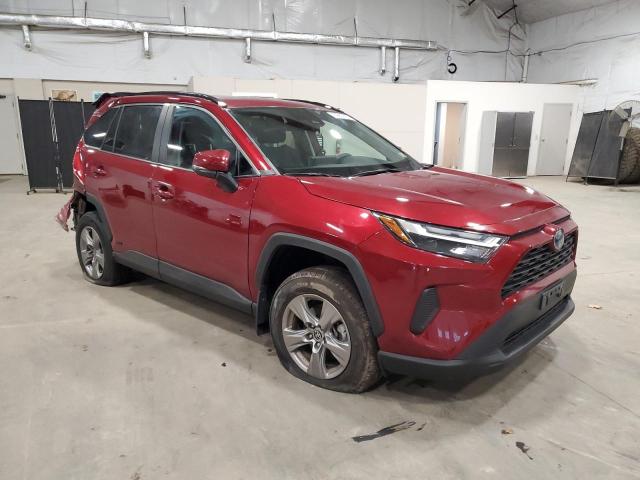 2024 TOYOTA RAV4 XLE #3284719984