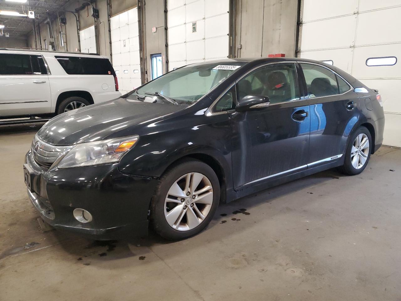 LEXUS HS 250H