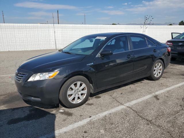 Global Auto Auctions: 2009 TOYOTA CAMRY HYBR
