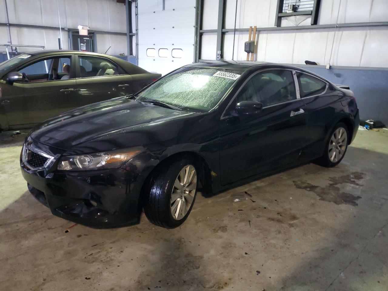 Lot #3265274008 2009 HONDA ACCORD EXL