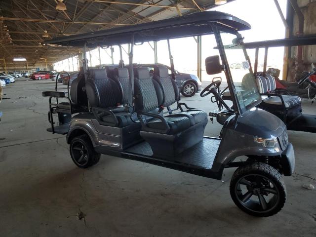 Global Auto Auctions: 2024 ASPT GOLF CART