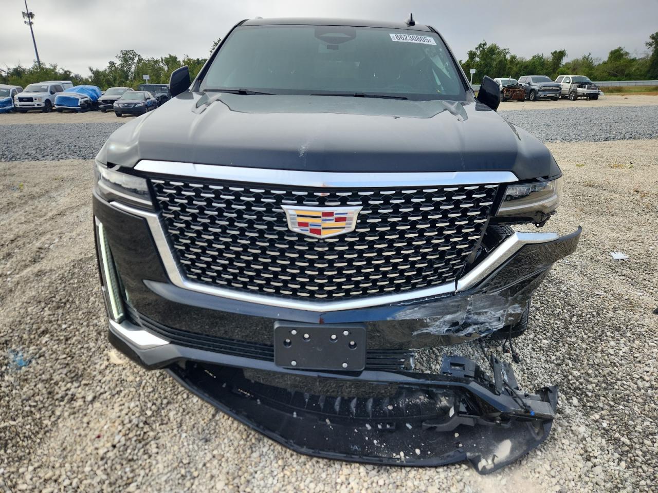 CADILLAC ESCALADE ESV LUXURY