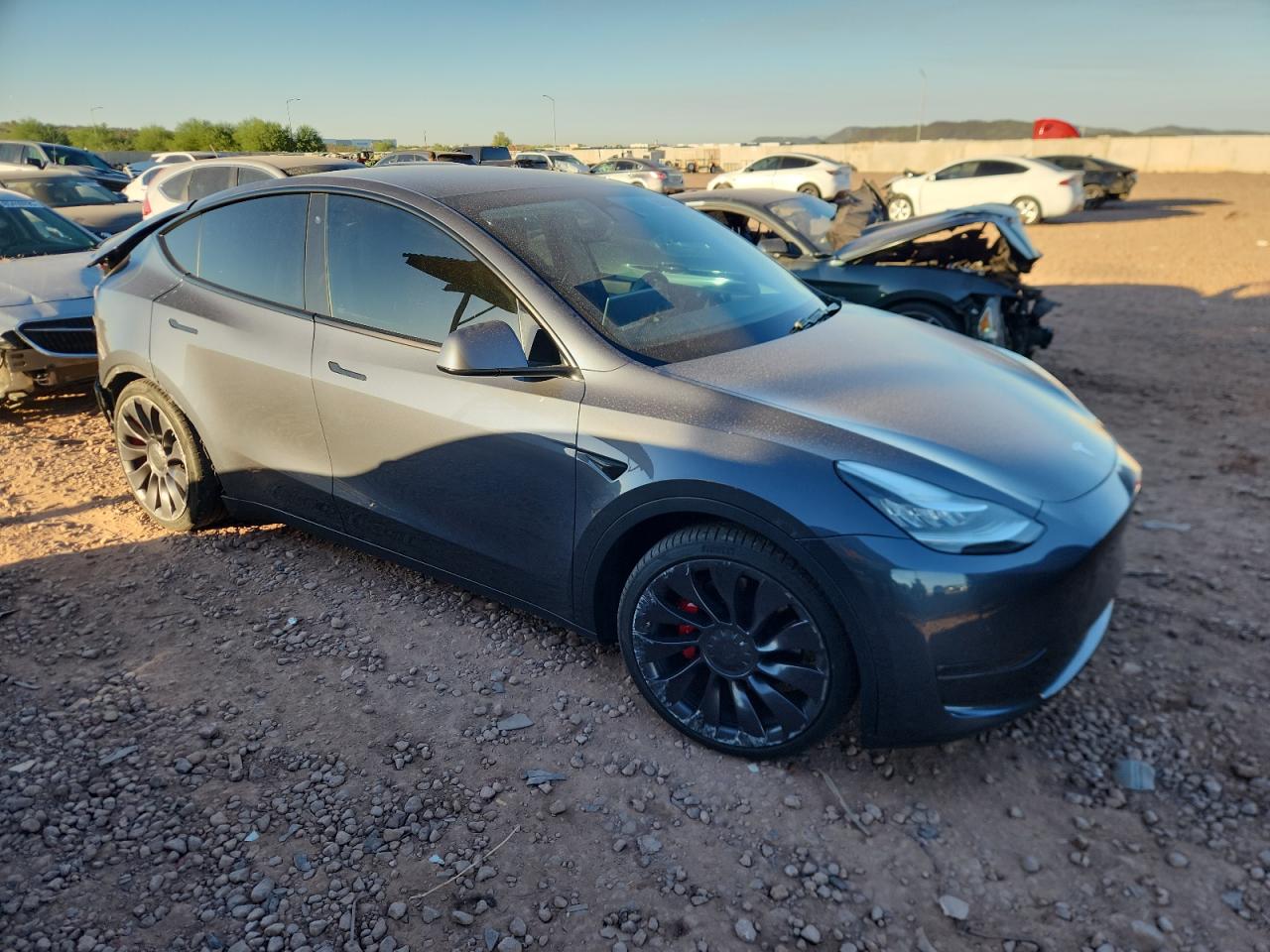 TESLA MODEL Y