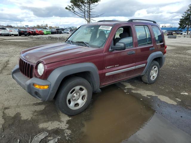 JEEP LIBERTY SP