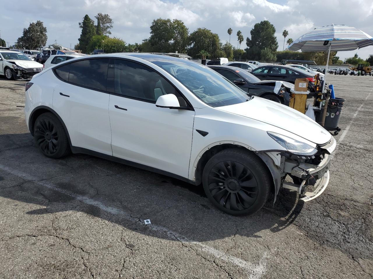 TESLA MODEL Y