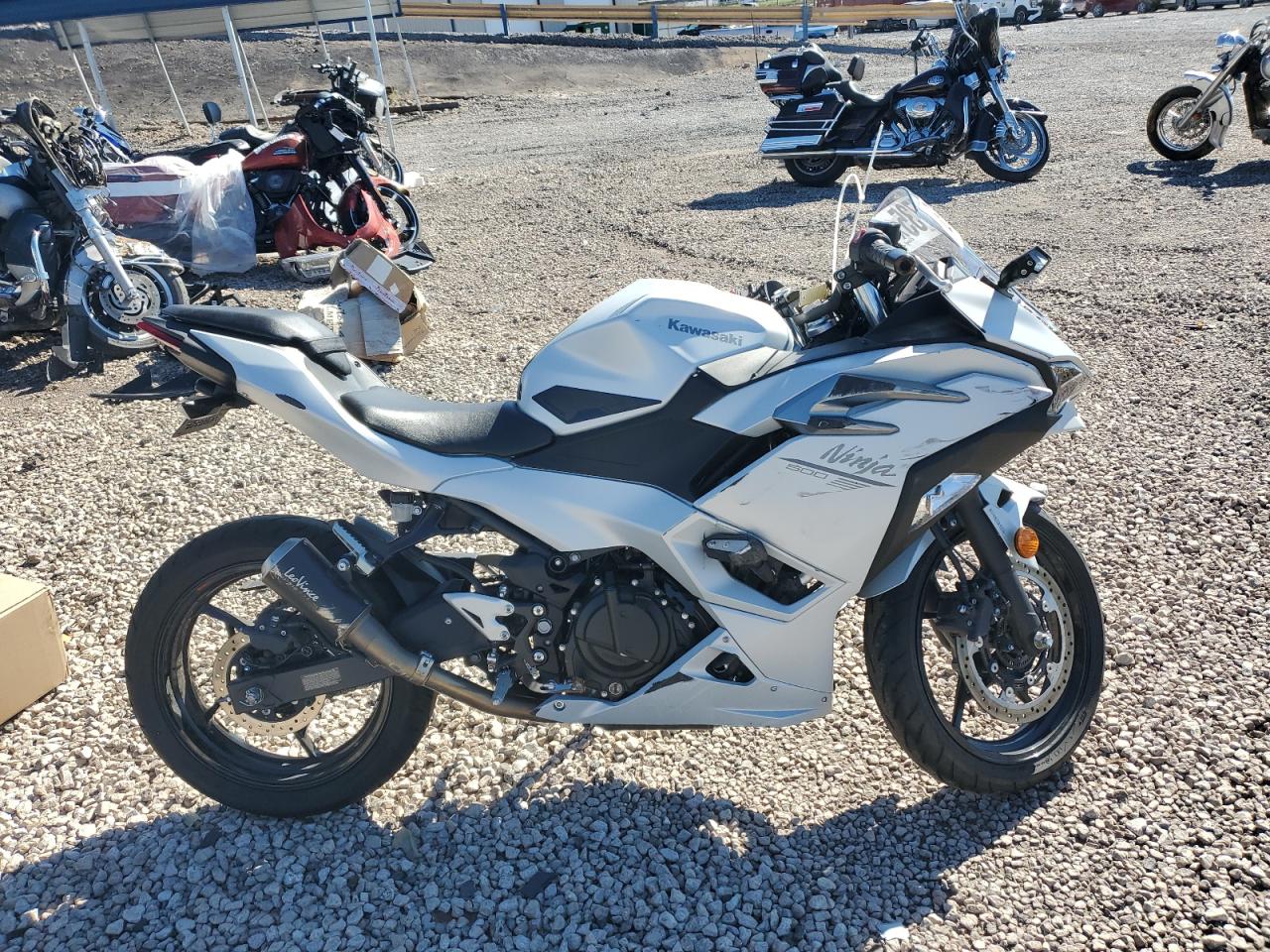 Lot #3279729952 2025 KAWASAKI EX500