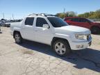 Lot #3301305397 2014 HONDA RIDGELINE