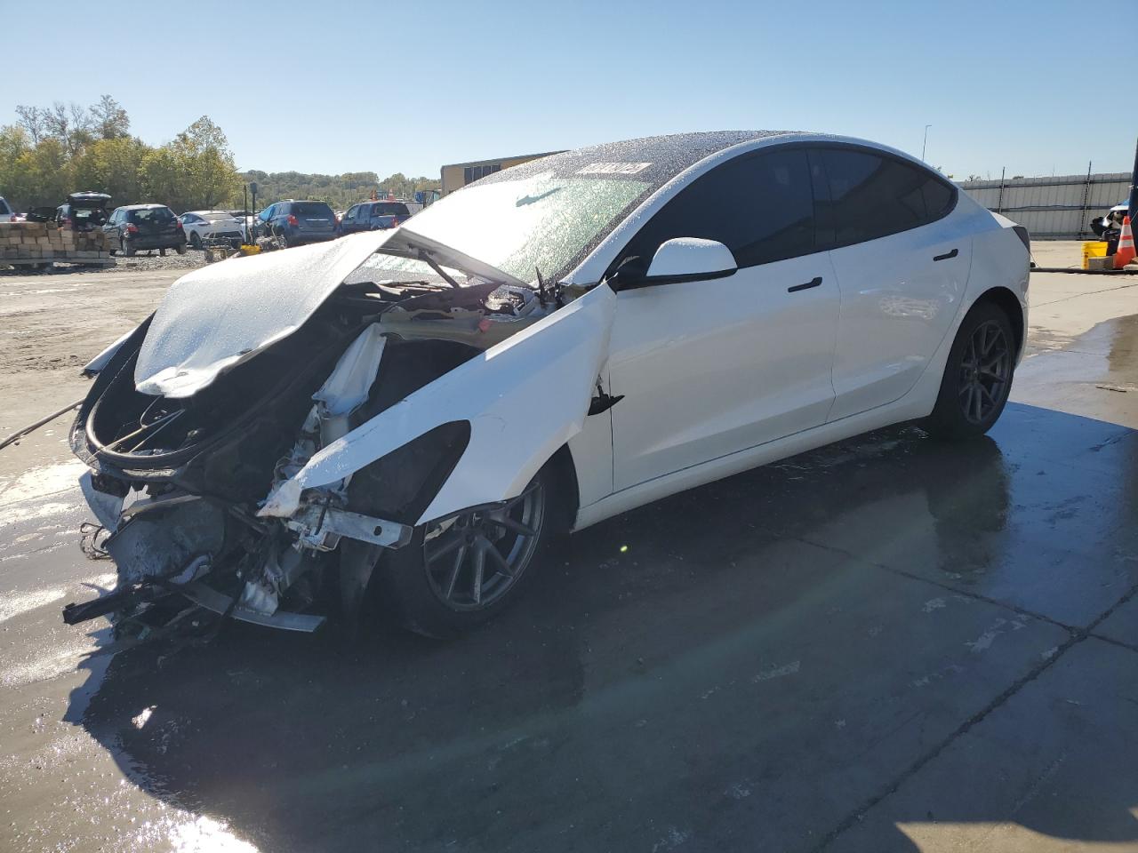 Lot #3286762290 2023 TESLA MODEL 3
