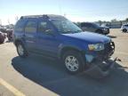 Lot #3293484420 2005 FORD ESCAPE XLT