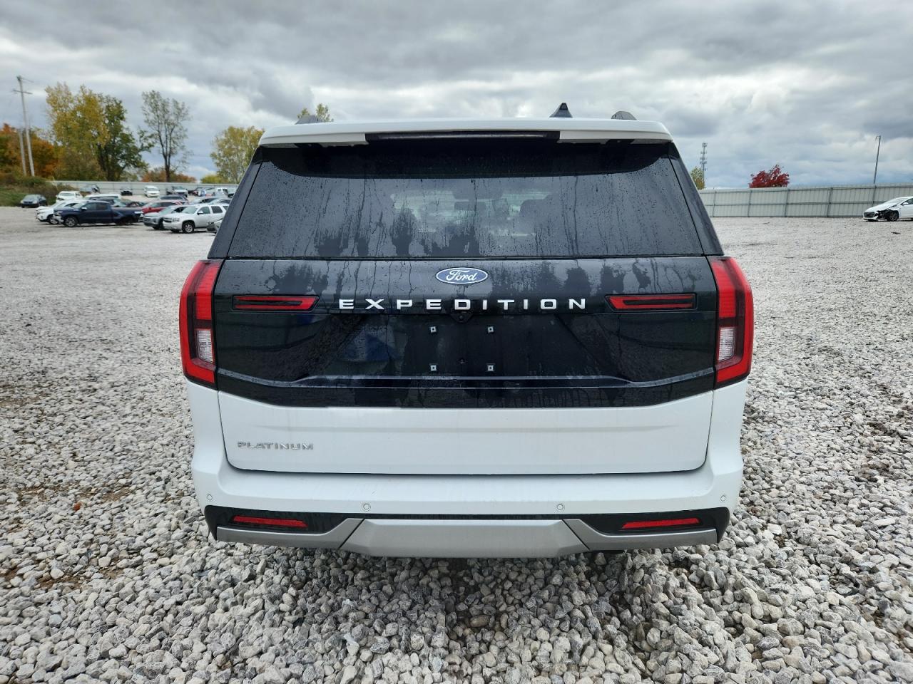 FORD EXPEDITION PLATINUM