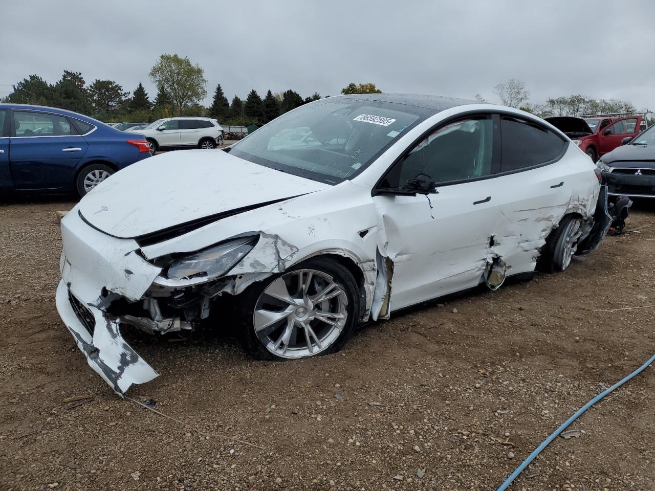 Lot #3284754531 2023 TESLA MODEL Y