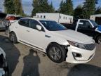 Lot #3316066216 2014 KIA OPTIMA HYB
