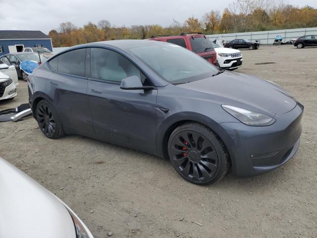 2023 TESLA MODEL Y - 7SAYGDEF2PF899526