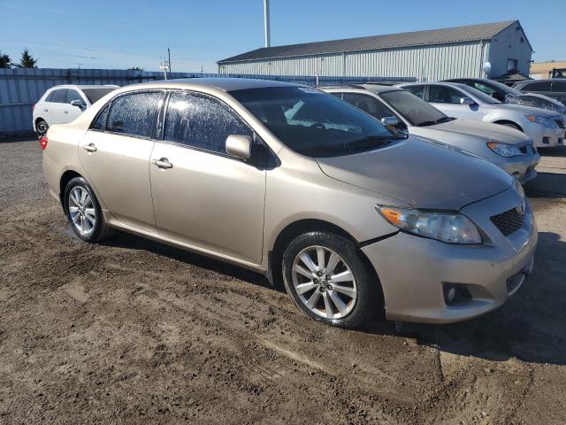 2010 TOYOTA COROLLA BASE - 2T1BU4EE9AC282350
