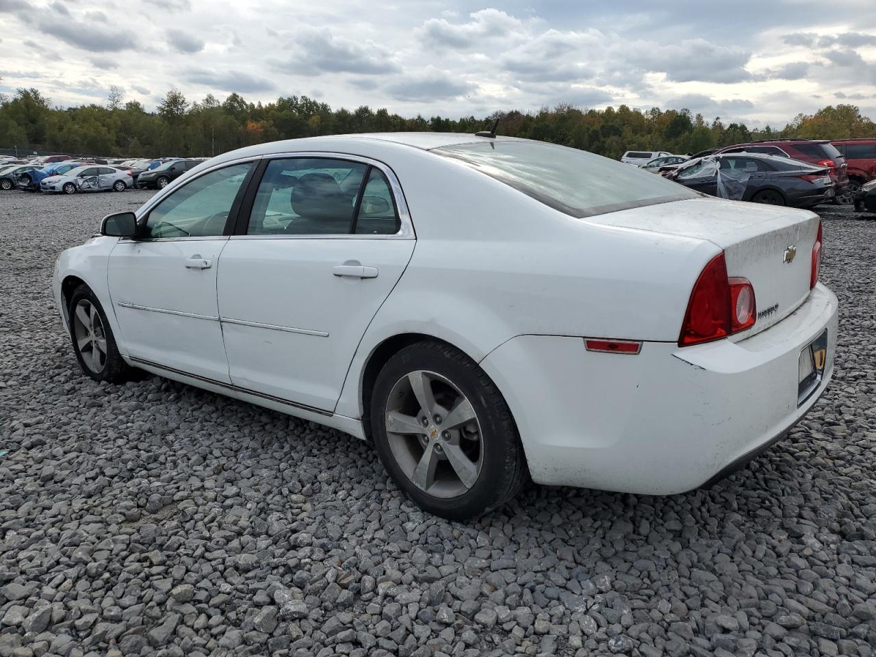 CHEVROLET MALIBU 1LT