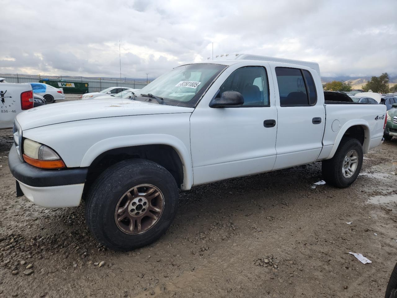 Lot #3291611254 2004 DODGE DAKOTA QUA