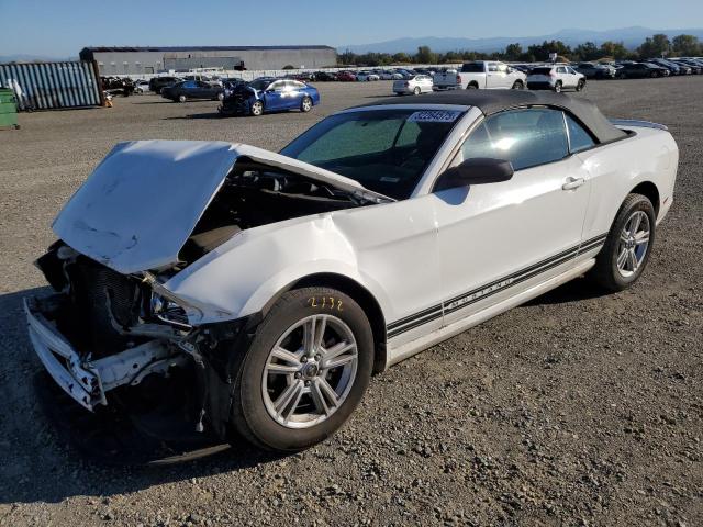 2013 FORD MUSTANG - 1ZVBP8EM2D5229705