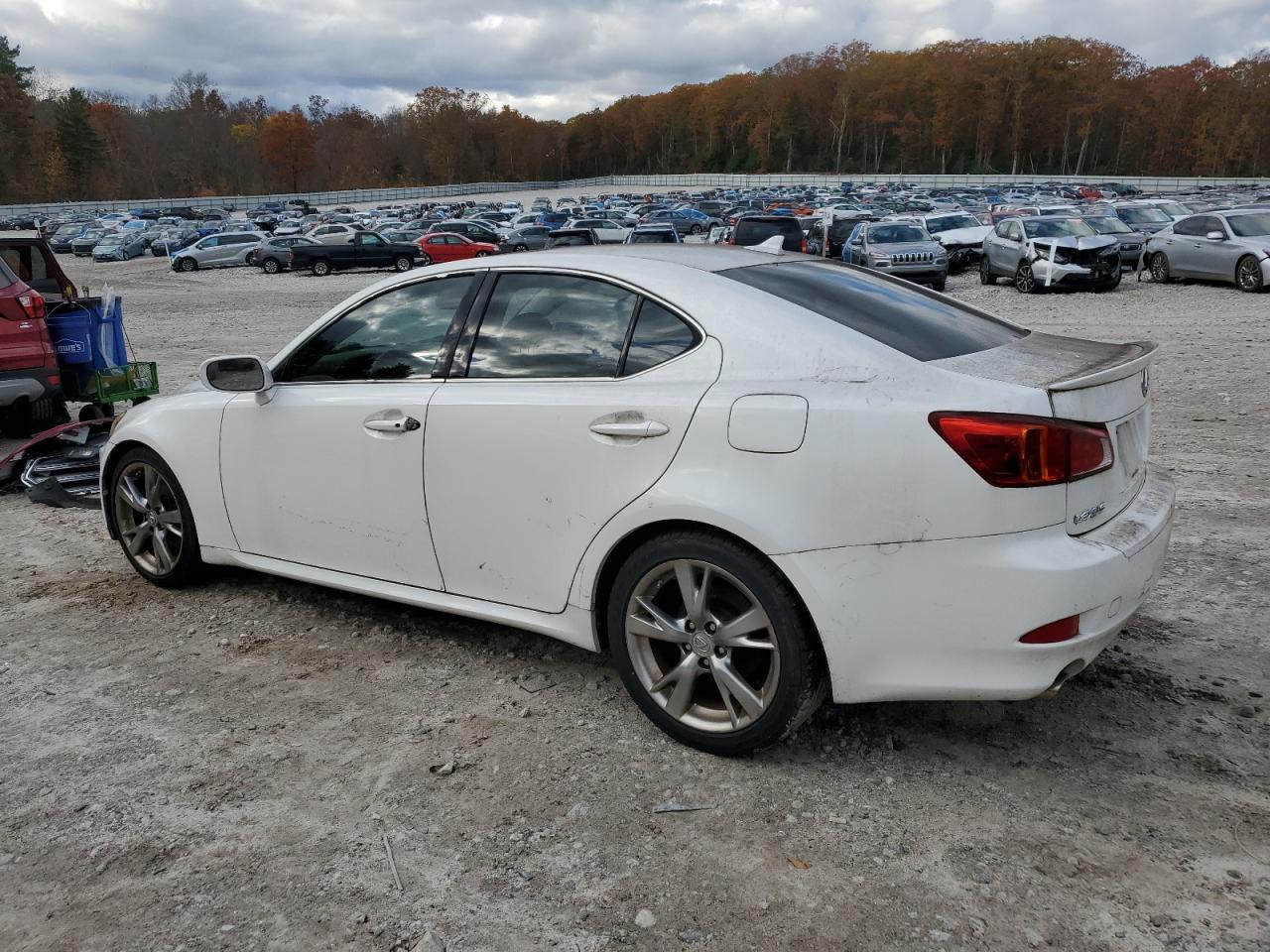 Lot #3280369972 2009 LEXUS IS 250