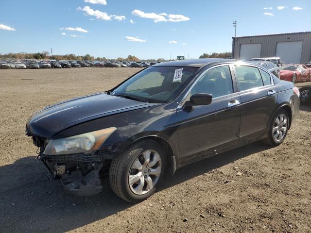 Global Auto Auctions: 2010 HONDA ACCORD EXL