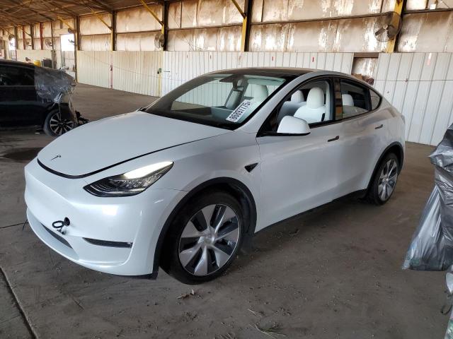 Global Auto Auctions: 2021 TESLA MODEL Y