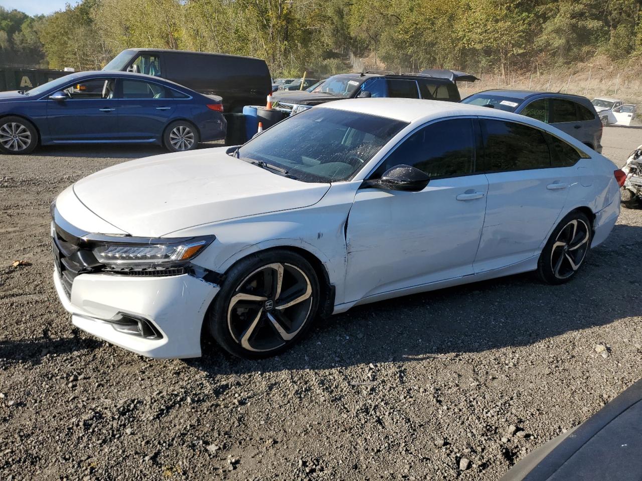 HONDA ACCORD SPORT SE