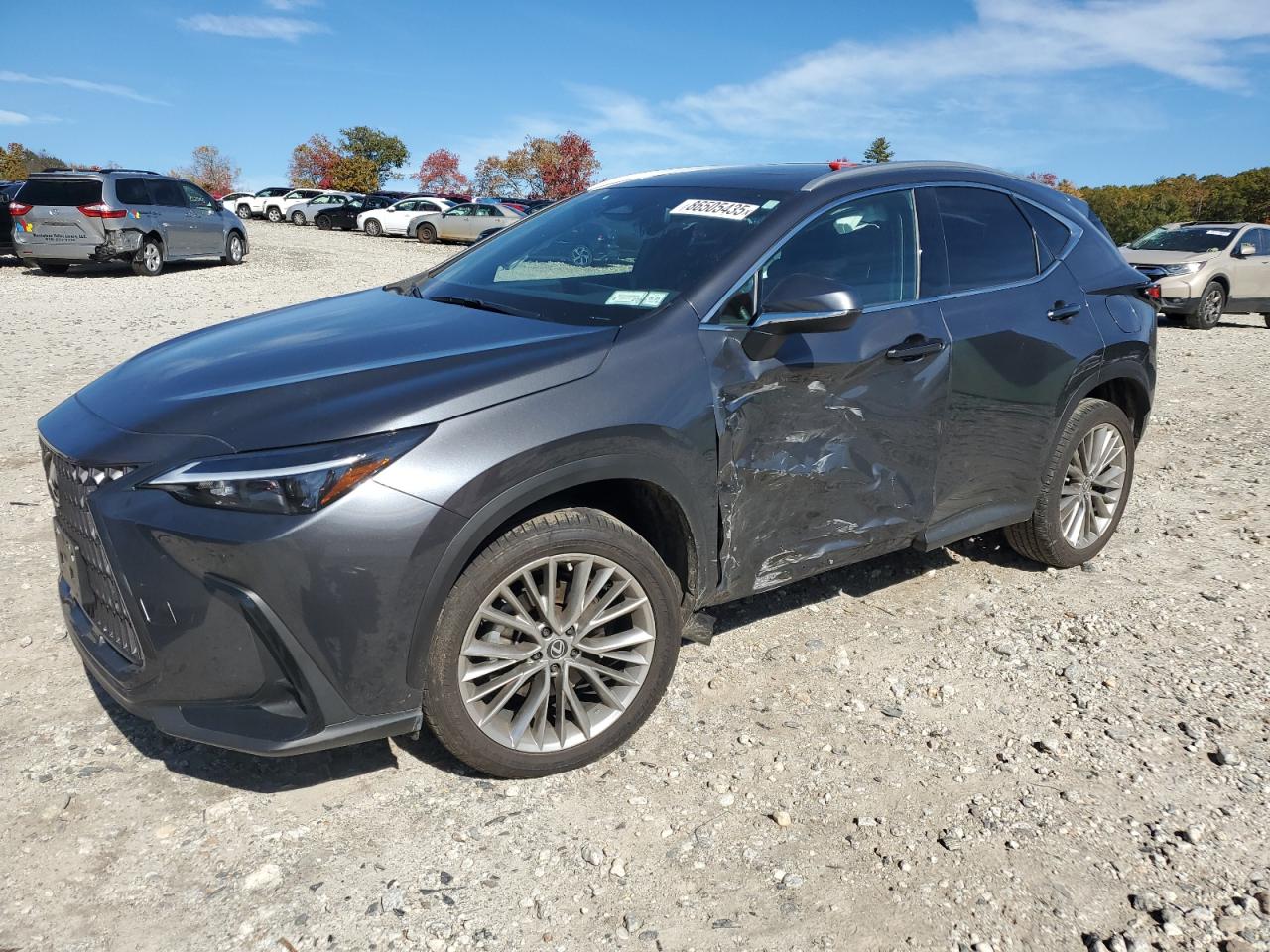 LEXUS NX 350H BASE