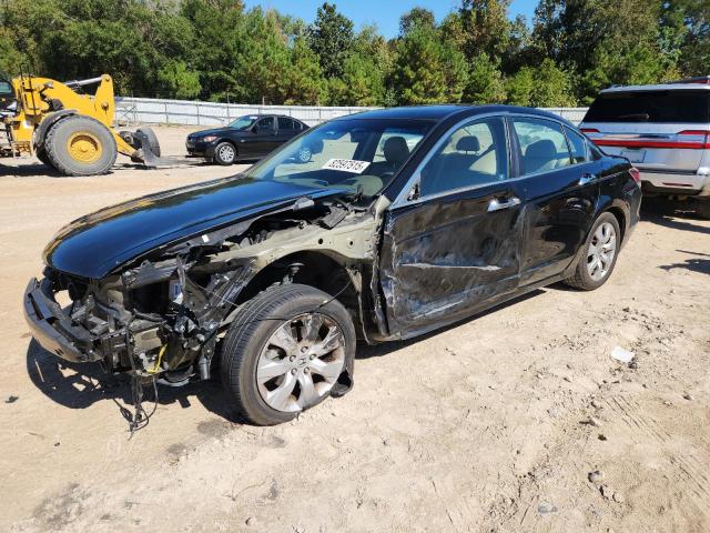 Global Auto Auctions: 2010 HONDA ACCORD EXL