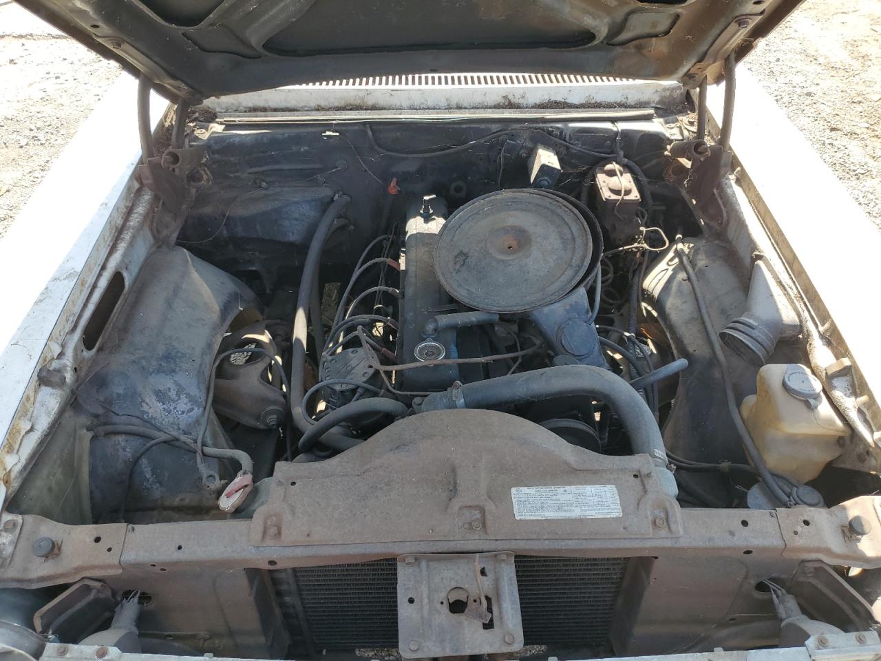 Lot #3304503434 1976 CHEVROLET NOVA