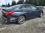 Lot #3305655728 2013 HYUNDAI SONATA SE