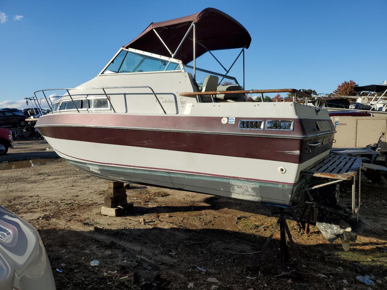 Lot #3271848684 1985 CELEBRITY BOWRIDE