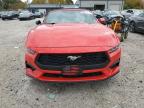 Lot #3296366130 2024 FORD MUSTANG