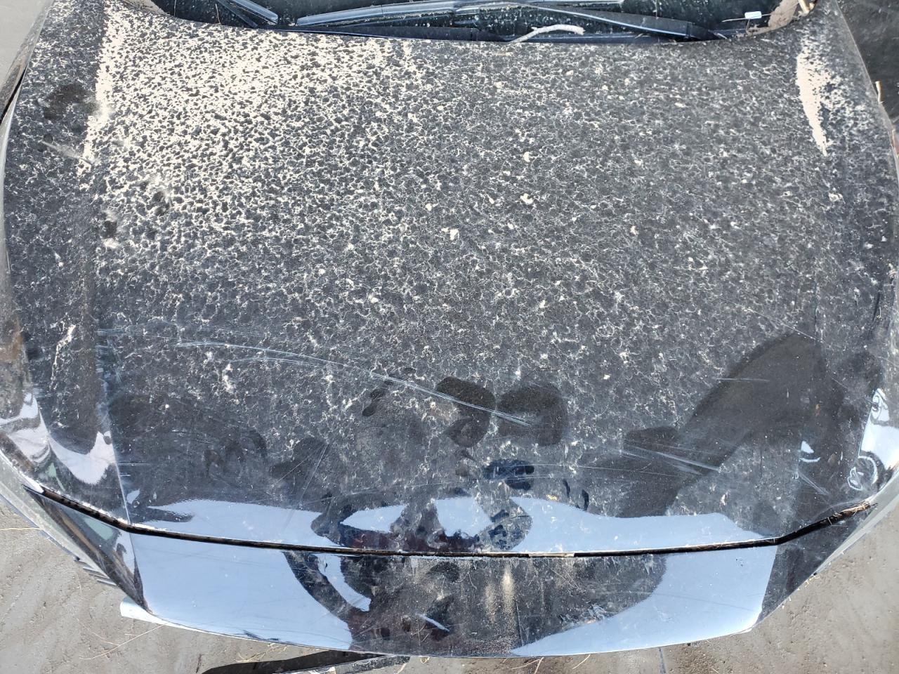 Lot #3309683867 2024 NISSAN SENTRA S