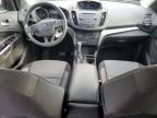 Lot #3304766939 2017 FORD ESCAPE SE