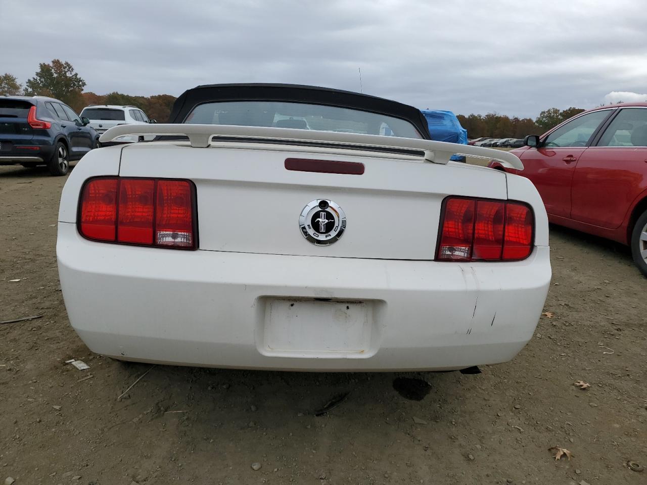 Lot #3280359983 2007 FORD MUSTANG
